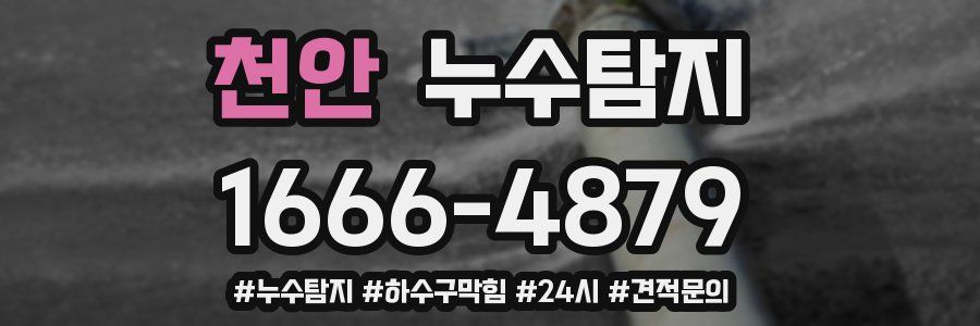 누수닥터 누수탐지