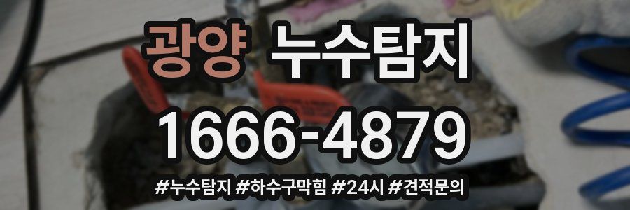 누수닥터 누수탐지