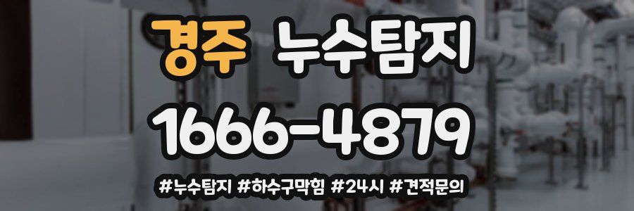 누수닥터 누수탐지