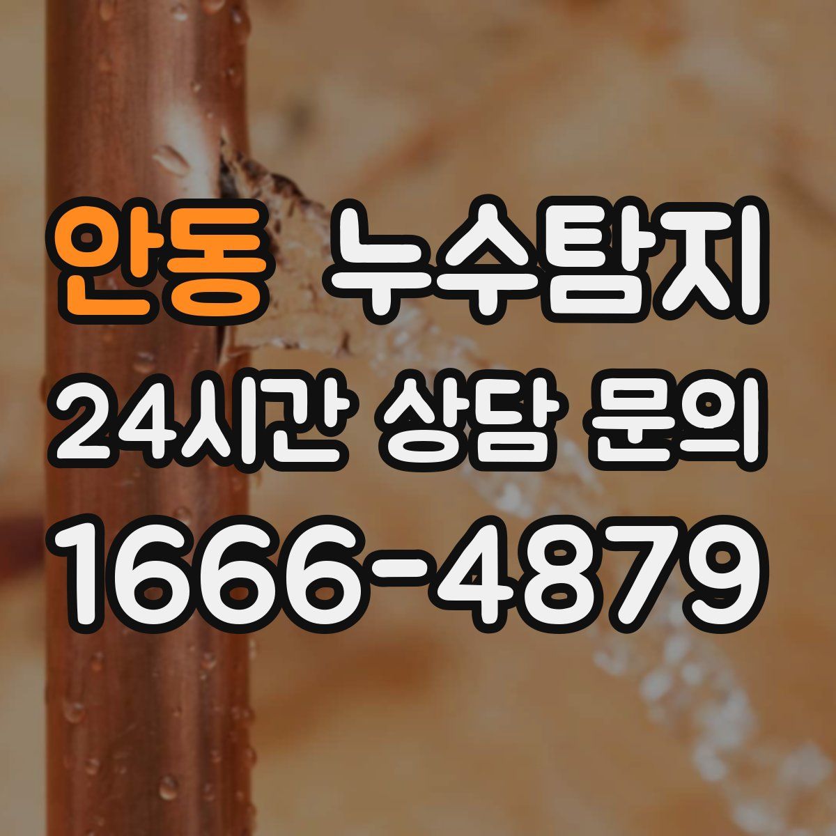 누수탐지