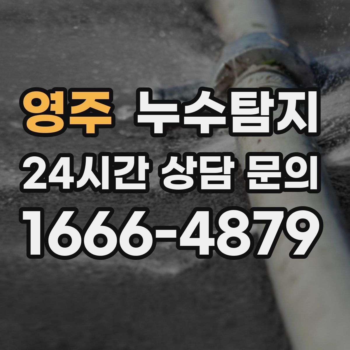 누수탐지