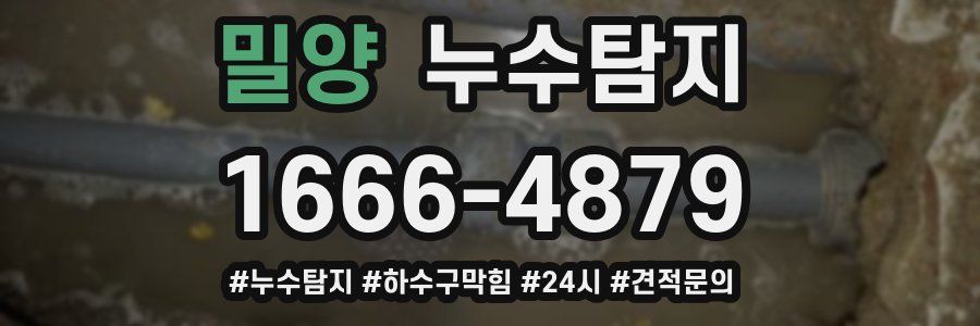 누수닥터 누수탐지