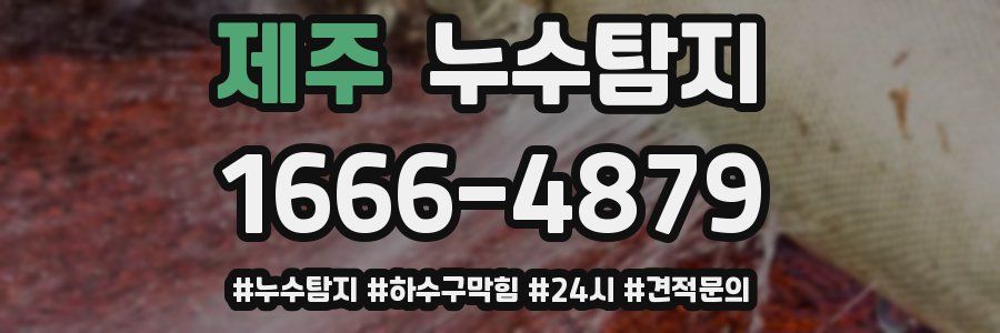 누수닥터 누수탐지