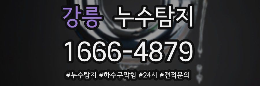 누수닥터 누수탐지