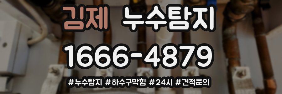 누수닥터 누수탐지