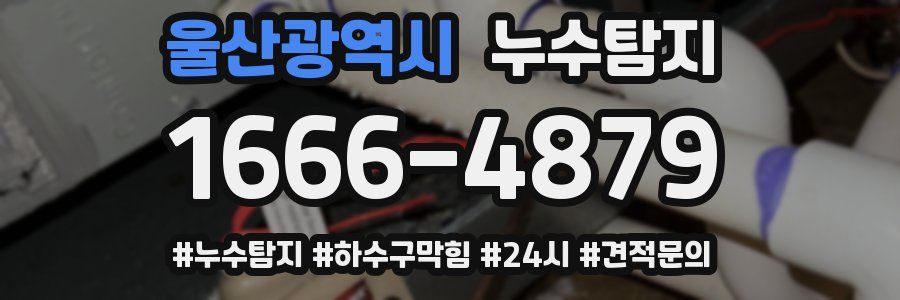 누수닥터 누수탐지