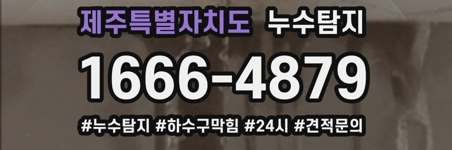 누수닥터 누수탐지