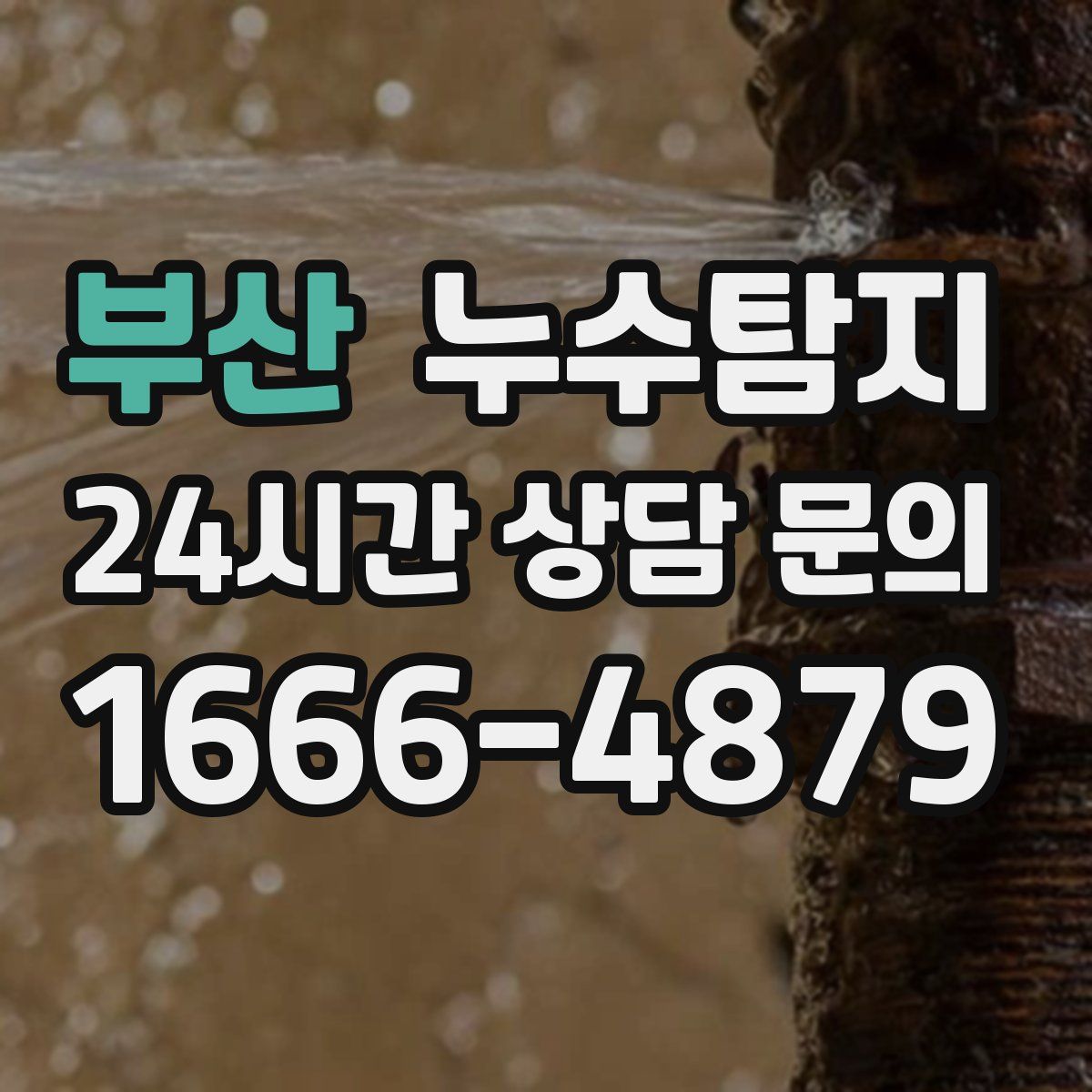 누수탐지