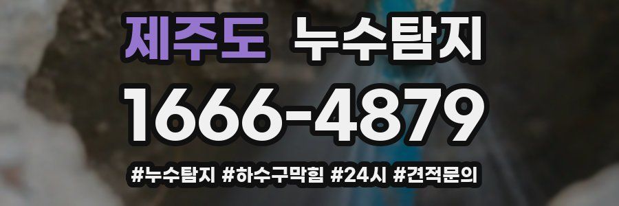 누수닥터 누수탐지