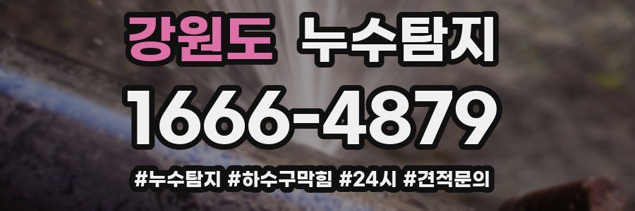 누수닥터 누수탐지