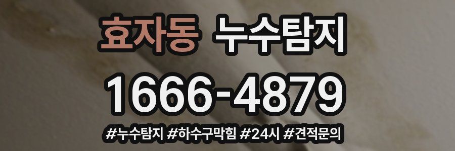 누수닥터 누수탐지