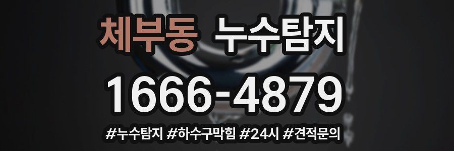 누수닥터 누수탐지