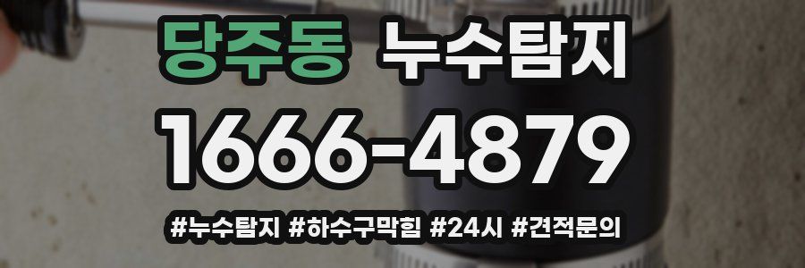 누수닥터 누수탐지