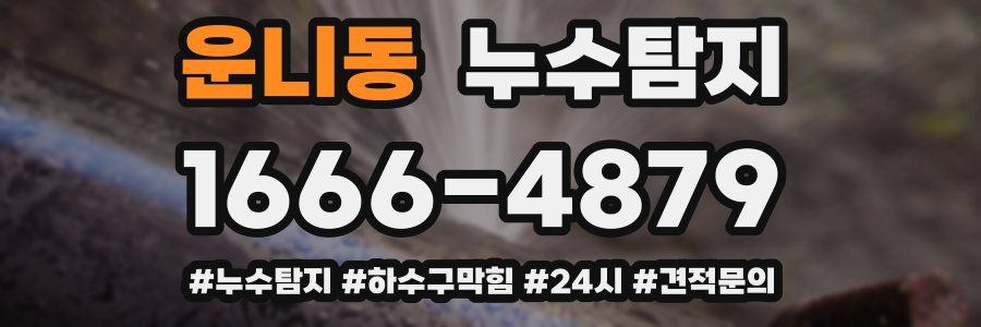 누수닥터 누수탐지