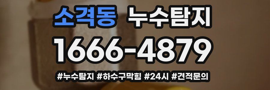 누수닥터 누수탐지