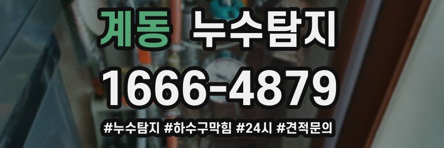 누수닥터 누수탐지