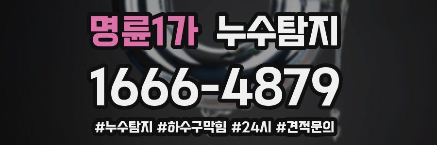 누수닥터 누수탐지