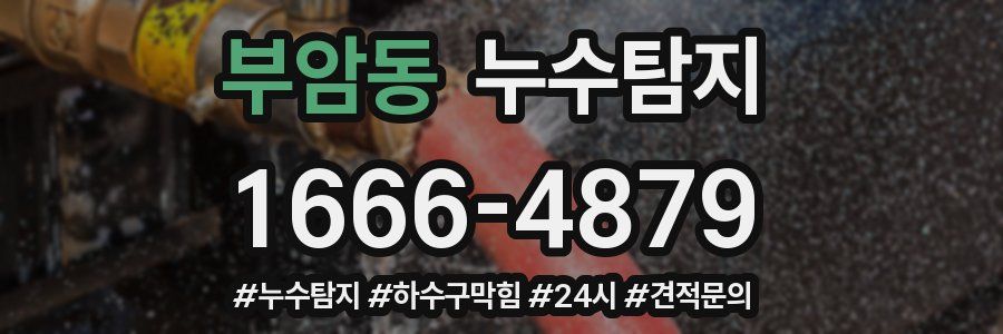 누수닥터 누수탐지