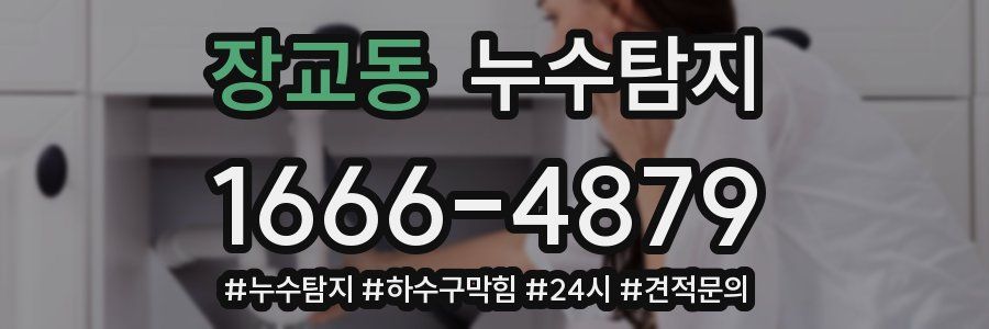 누수닥터 누수탐지