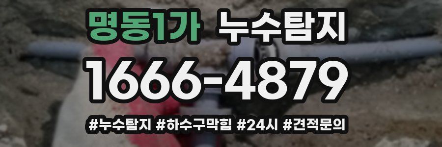 누수닥터 누수탐지