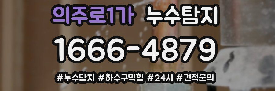 누수닥터 누수탐지