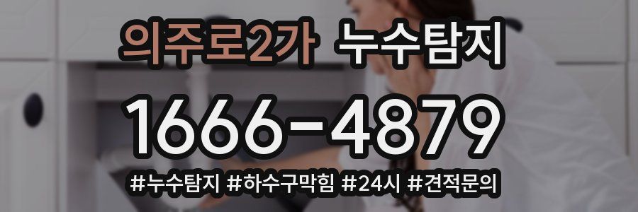 누수닥터 누수탐지