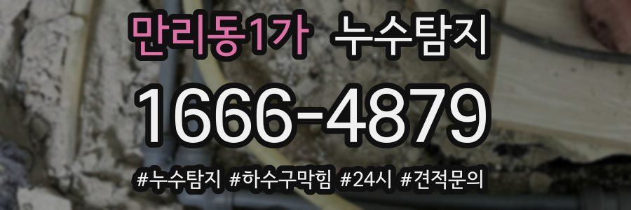 누수닥터 누수탐지