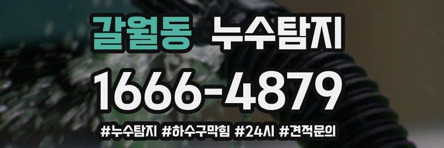 누수닥터 누수탐지