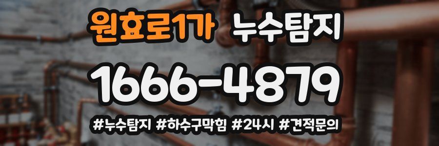 누수닥터 누수탐지