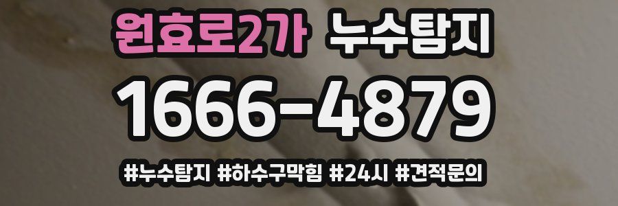 누수닥터 누수탐지