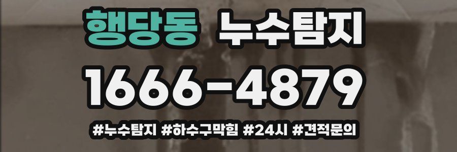 누수닥터 누수탐지