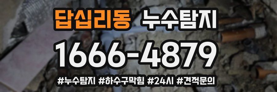 누수닥터 누수탐지