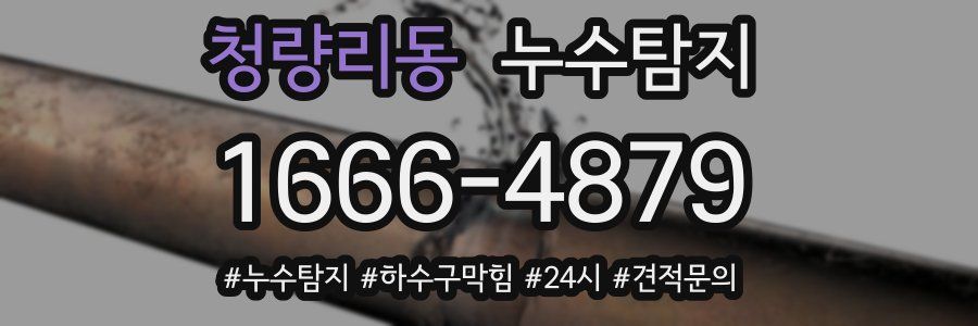 누수닥터 누수탐지