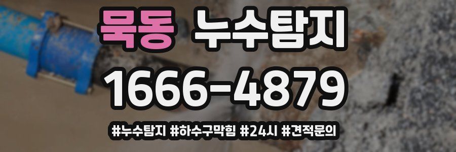 누수닥터 누수탐지