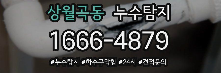 누수닥터 누수탐지