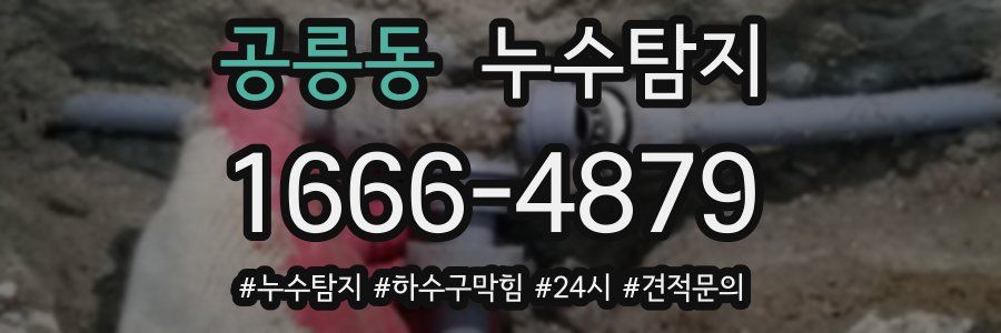 누수닥터 누수탐지