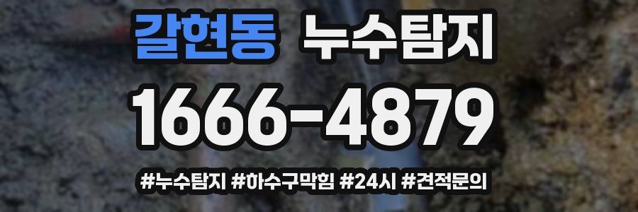 누수닥터 누수탐지