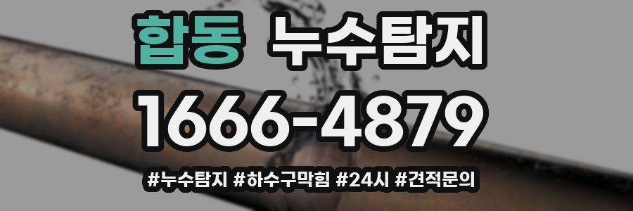 누수닥터 누수탐지