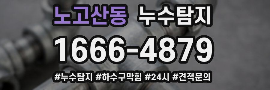 누수닥터 누수탐지