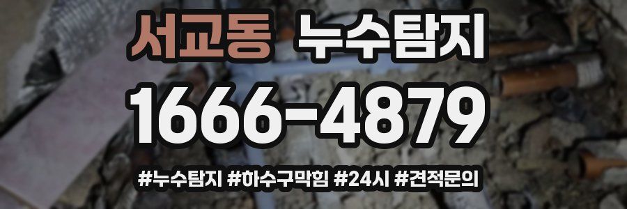 누수닥터 누수탐지