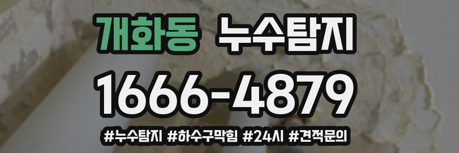 누수닥터 누수탐지