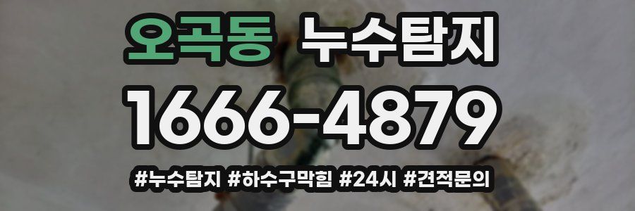 누수닥터 누수탐지