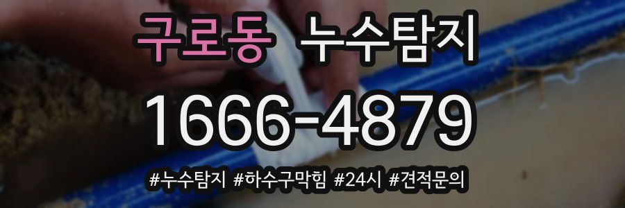 누수닥터 누수탐지