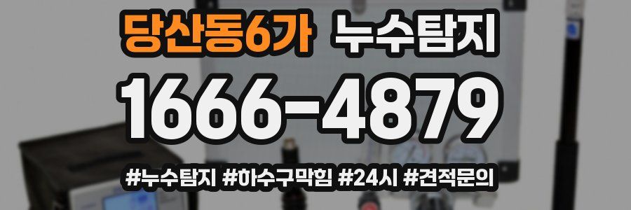 누수닥터 누수탐지