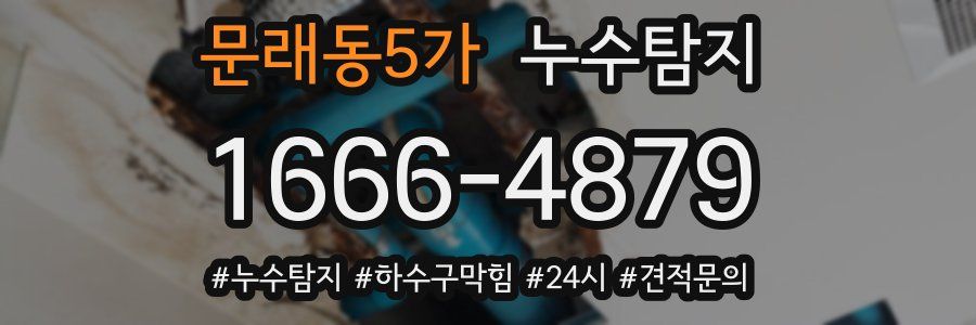 누수닥터 누수탐지