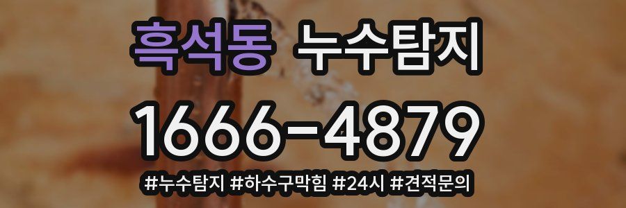 누수닥터 누수탐지