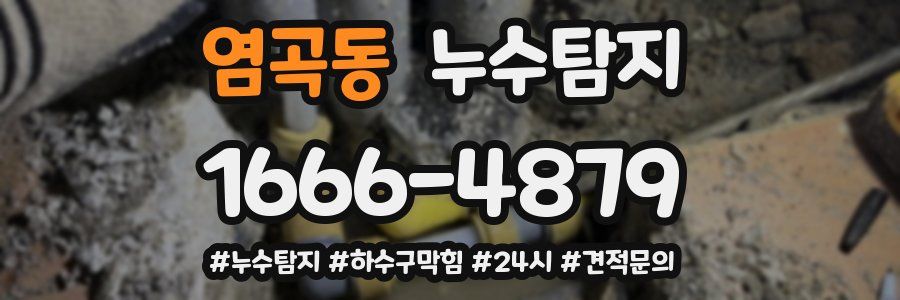 누수닥터 누수탐지