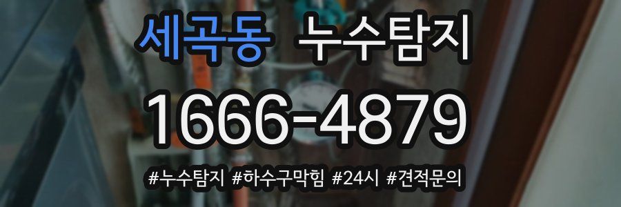 누수닥터 누수탐지