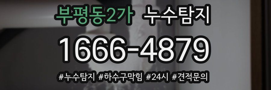 누수닥터 누수탐지
