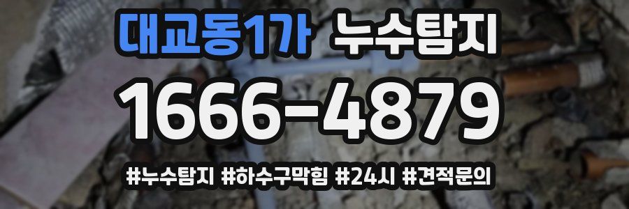 누수닥터 누수탐지